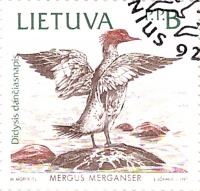 Didysis danciasnapis.jpg