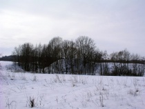 Buivydonių_piliakalnis_2007_m..jpg