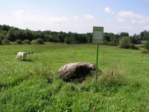 Karveliškių_akmuo._2010_m..JPG
