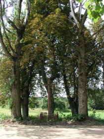 Karveliškių kryžius 2011 m..JPG