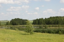 Rudės ežeras 2016 2 (1).jpg