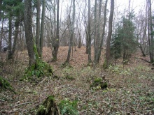 Dainių Ragankalnis 2005 m..jpg