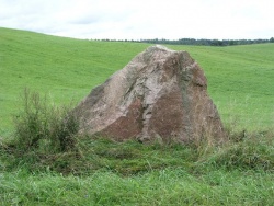 Medinų I akmuo 2010 m..jpg