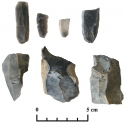 Padaliu gyvenviete radiniai.jpg