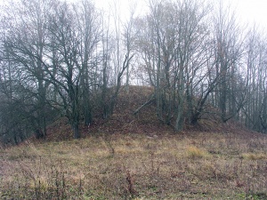 Buivydoniu piliakalnis 2008.jpg