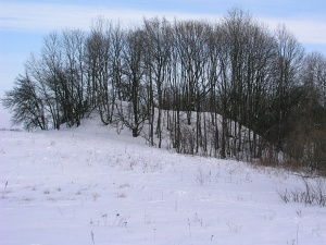 Buivydoniu piliakalnis is PV puses 2007-02-13.jpg