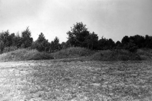 Dovainoniu Kapitoniskiu I pilkapynas 1952 m.jpg