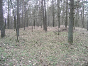 Dovainoniu Kapitoniskiu I pilkapynas 2007.jpg