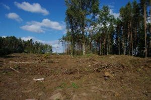 Dovainoniu Kapitoniskiu II 2010 isvezus mediena.jpg