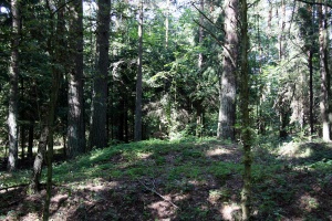 Dovainoniu Kapitoniskiu III pilkapynas.jpg