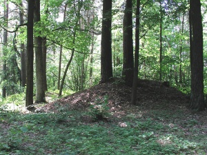 Dovainoniu Kapitoniskiu IV pilkapynas.jpg