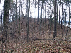 Dovainoniu piliakalnis 2011.jpg