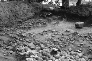 Dovainoniu piliakalnis atidengtas akmenu grindinys Neg. Nr. 6319.jpg