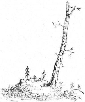 Guroniu kapinyno pilkapis (Nr. 17) - P.Tarasenka Priesistorine Lietuva, pies.57.jpg