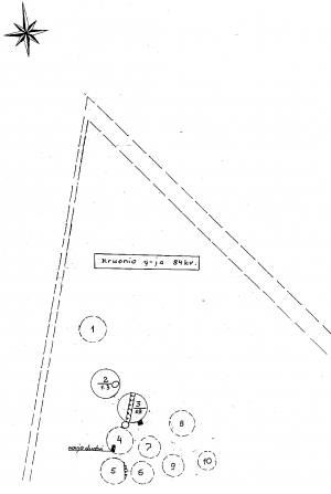 Kalviu II pilkapyno situacijos planas.png