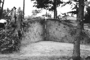 Kapitoniskiu pilkapynas pilk 26 SV ketvirtis LIIR neg.nr.3411.jpg