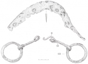 Kapitoniskiu pilkapynas radiniai is pilkapio 20 ir 37.jpg