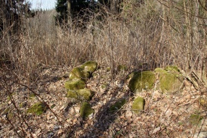 Kleriskiu pilkapis akmenu vainikas.jpg