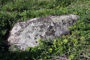 Laukagalio akmuo su peda.jpg