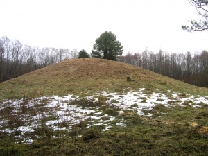 Laukagalio kapinynas.jpg