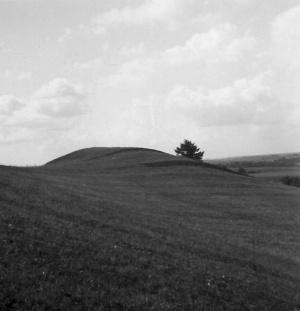 Maisiejunu II piliakalnis 1937 m. KPC. ASFP. Neg. Nr. 2647..jpg