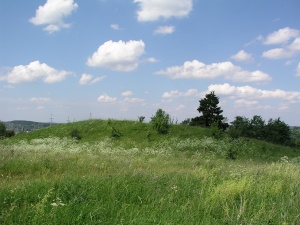 Maisiejunu II piliakalnis 2006.jpg