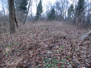 Maisiejunu pilkapynas 2011.jpg