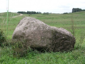 Medinų II akmuo 2010 m..jpg