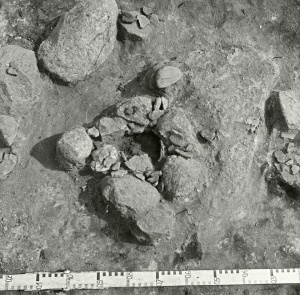 Migoniu piliakalnio gyvenvietes tyrimai 1954 m tyrimai. plote 3 rastas zidinys LIIR neg.nr.4501.jpg