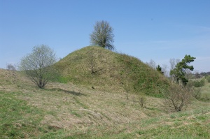 Migoniu piliakalnis 2009.jpg