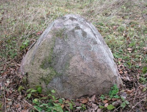 Paneriu akmuo su pedomis.jpg