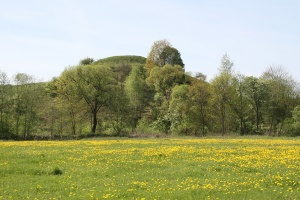 Paparciu piliakalnis Zydkapis is R puses 2008.jpg