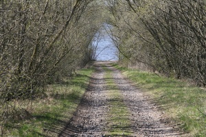 Senasis Alytaus-Kauno kelias nusileidzia i Kauno marias 2007.jpg