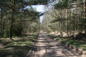 Senojo Vilniaus-Kauno kelio atkarpa ties Backonimis 2007 O.Lukoseviciaus nuotr.jpg