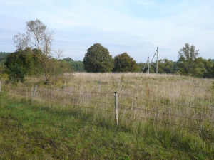 Tartoko gyvenviete 2007.jpg