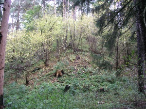 Varkaliskiu I piliakalnis 2005.JPG