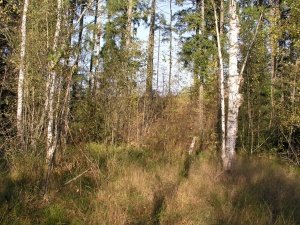 Vindziuliškiu Velnio duobe.JPG