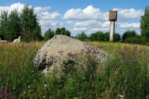 Zydiskiu akmuo gamta 2011.jpg