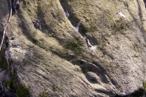 Zydiskiu akmuo su zenklais fragmentas.jpg