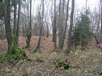 Dainiu alkakalnis.JPG