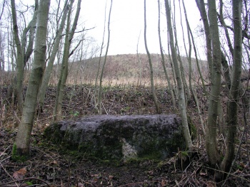 Ringailiu akmuo Karaliaus kalno papedeje.jpg