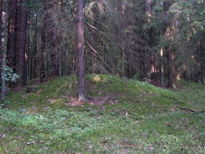 Atmainai-Darsuniskis 2007.JPG