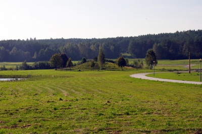Guroniu alkakalnis Pajautos kapas ir Roziniu slepiniu parkas 2010.jpg
