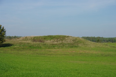 Guroniu alkakalnis Zvaninycia 2010.jpg