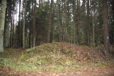 Kalviu pilkapynas I.jpg