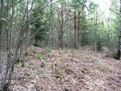 Kalviu pilkapynas II.jpg