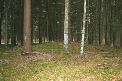 Kalviu pilkapynas III.jpg