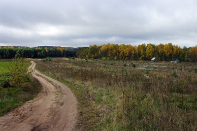 Kapitoniskiu pilkapiu vieta 2008.jpg