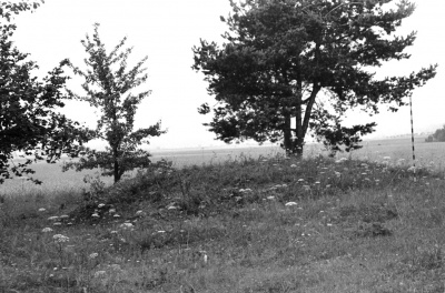 Kapitoniskiu pilkapynas pilk nr.5 is S. LIIR neg.nr.3127.jpg