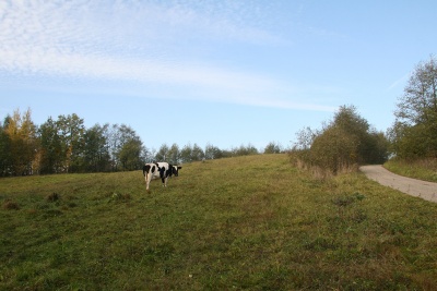 Nemaitoniu senoves gyvenviete.jpg